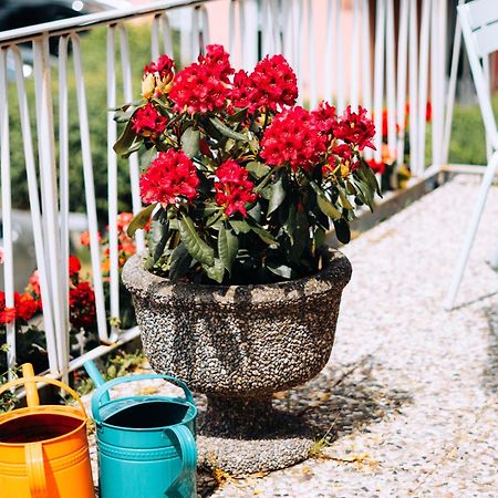 Molo Rouge - Boutiquehotel & Cafe Wunsiedel Zewnętrze zdjęcie