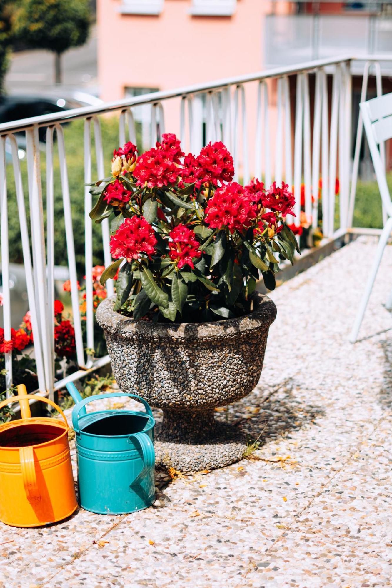 Molo Rouge - Boutiquehotel & Cafe Wunsiedel Zewnętrze zdjęcie